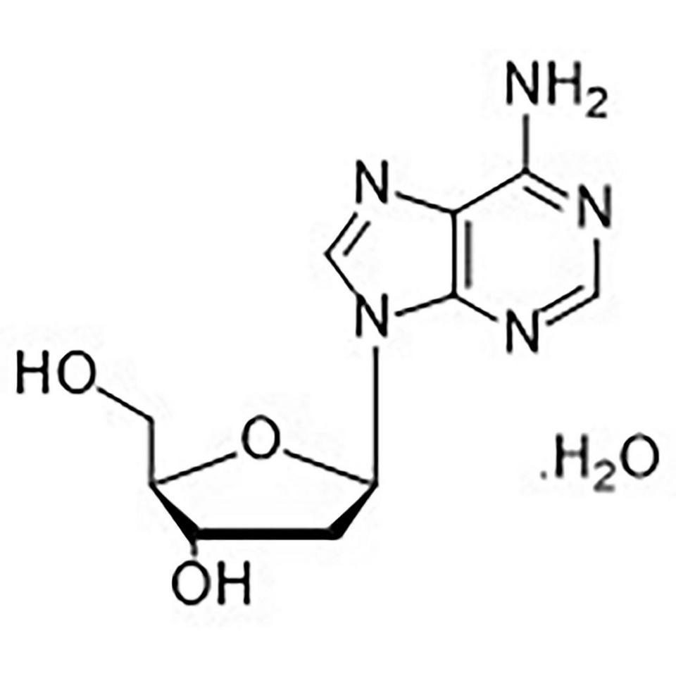 2'-Deoxyadenosine Monohydrate